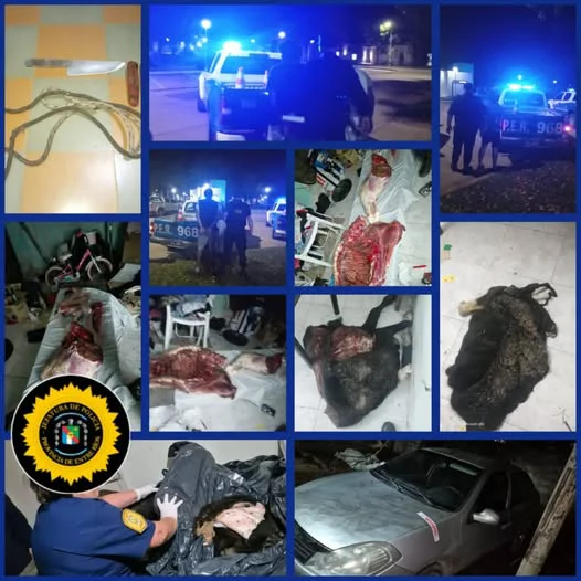 669673569_18342009454300386_190765888440928298_n