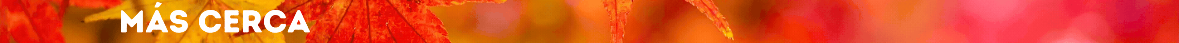 Más cerca_20260403_105637_0000