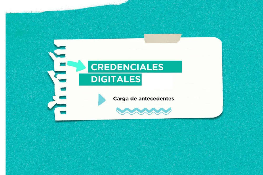 descarga (17)