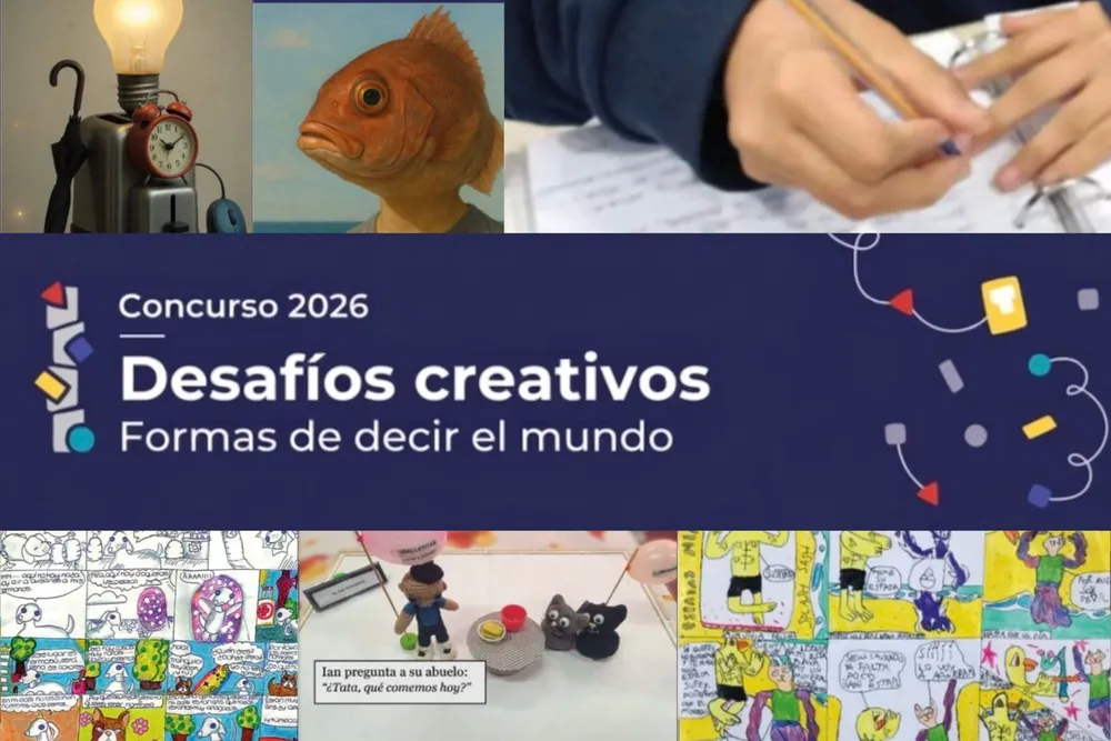 descarga (29)