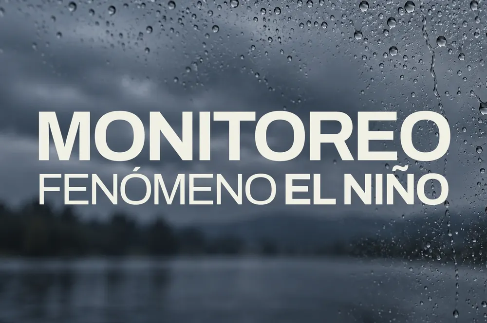 descarga (37)