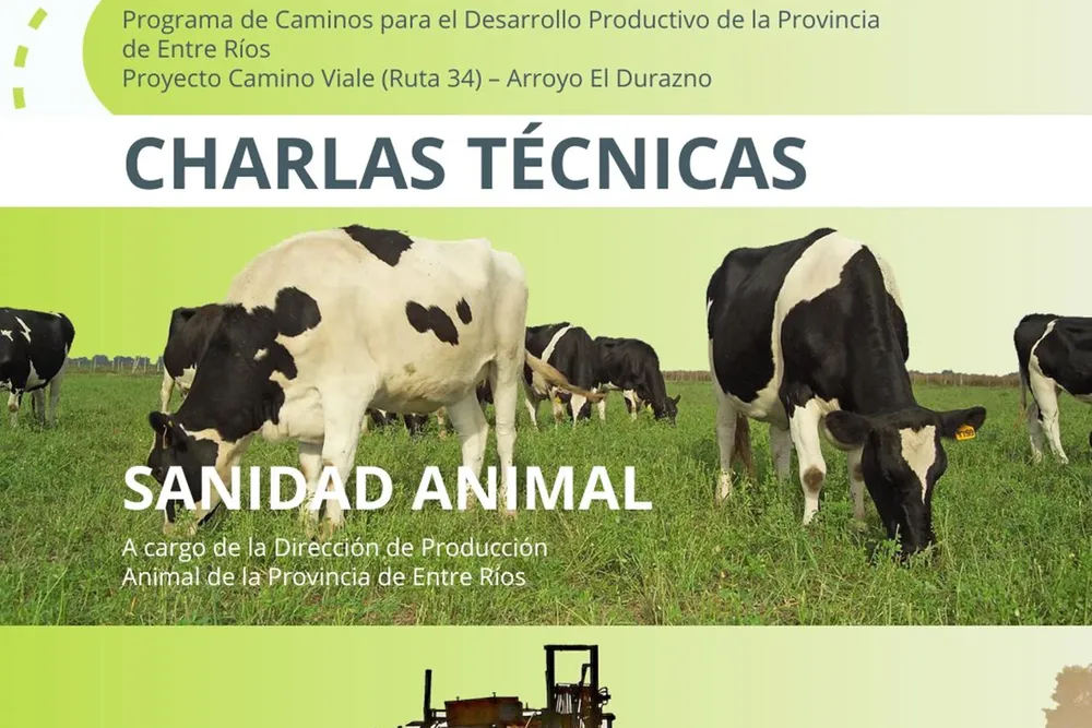 descarga (15)