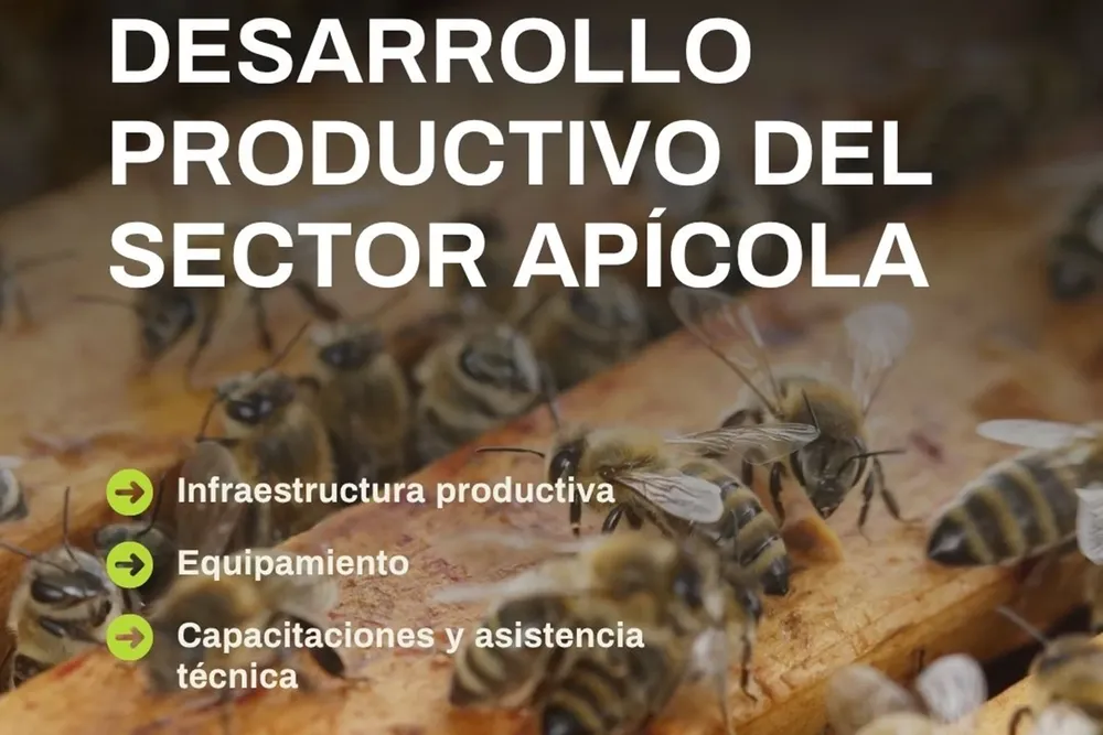 descarga (42)