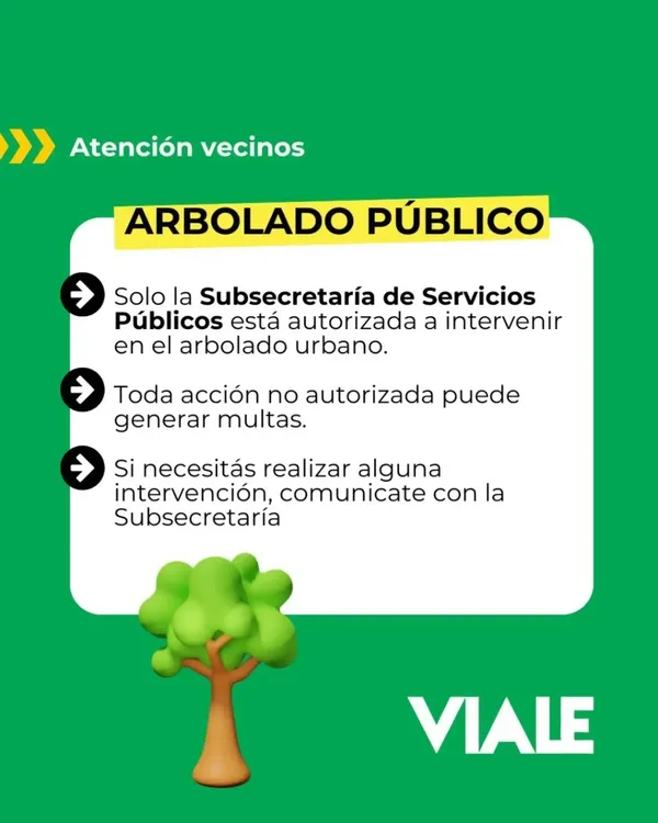 659064558_18443903680114581_4156803152179617279_n