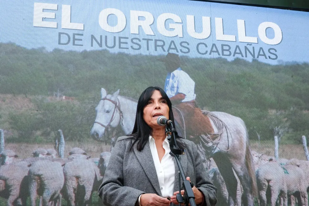 foto e